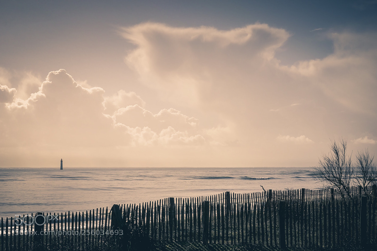 Sony a6000 sample photo. Before summer photography