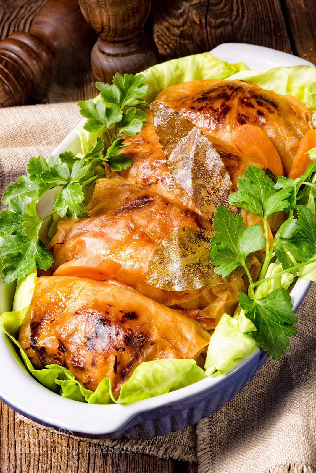 Nikon D810 sample photo. Baked cabbage rolls in photography