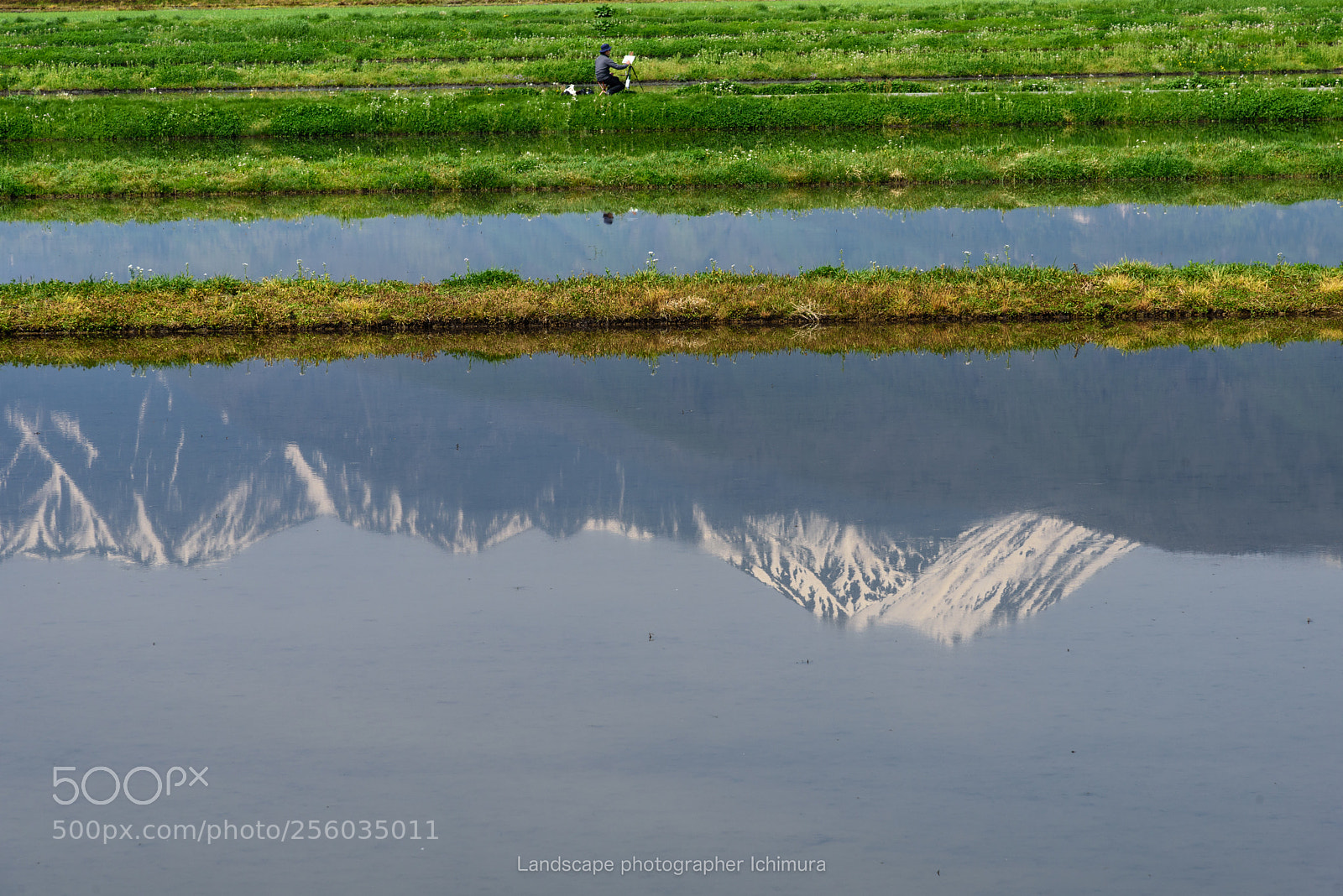 Nikon D750 sample photo. Painter photography