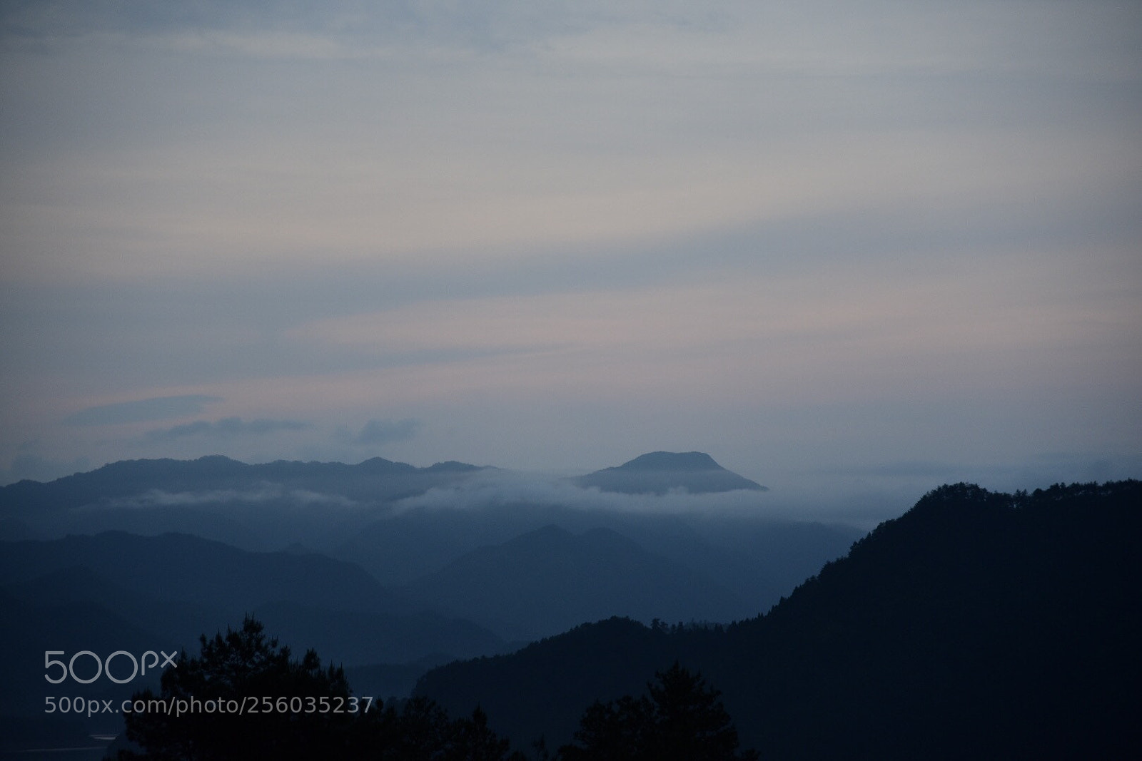 Nikon D750 sample photo. 微信图片 photography