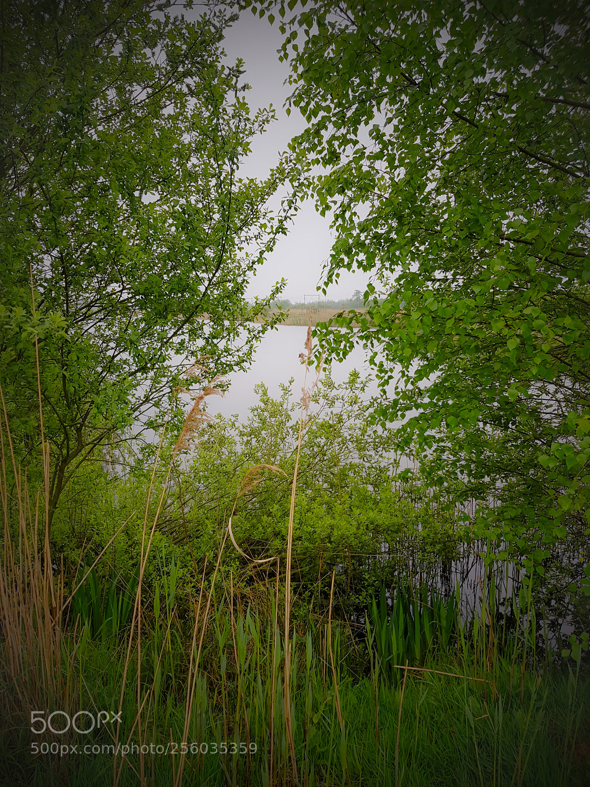 Samsung Galaxy S8 sample photo. Untitled photography