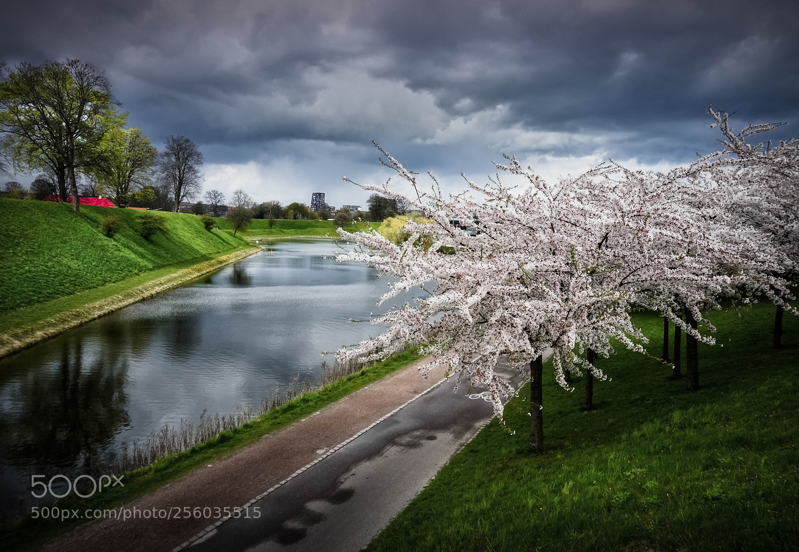 Sony a6000 sample photo. Springtime in copenhagen photography