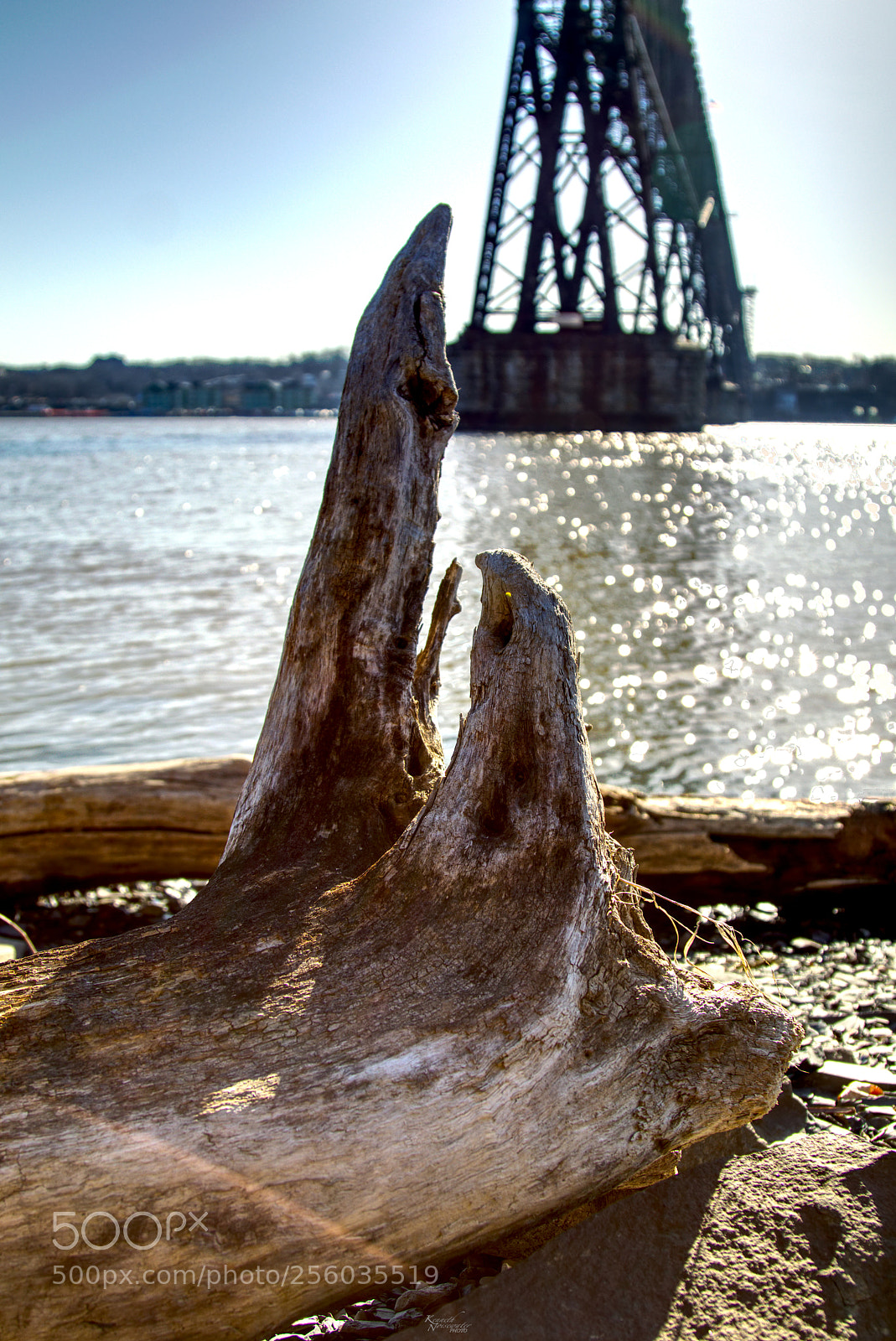 Canon EOS M5 sample photo. Driftwood photography