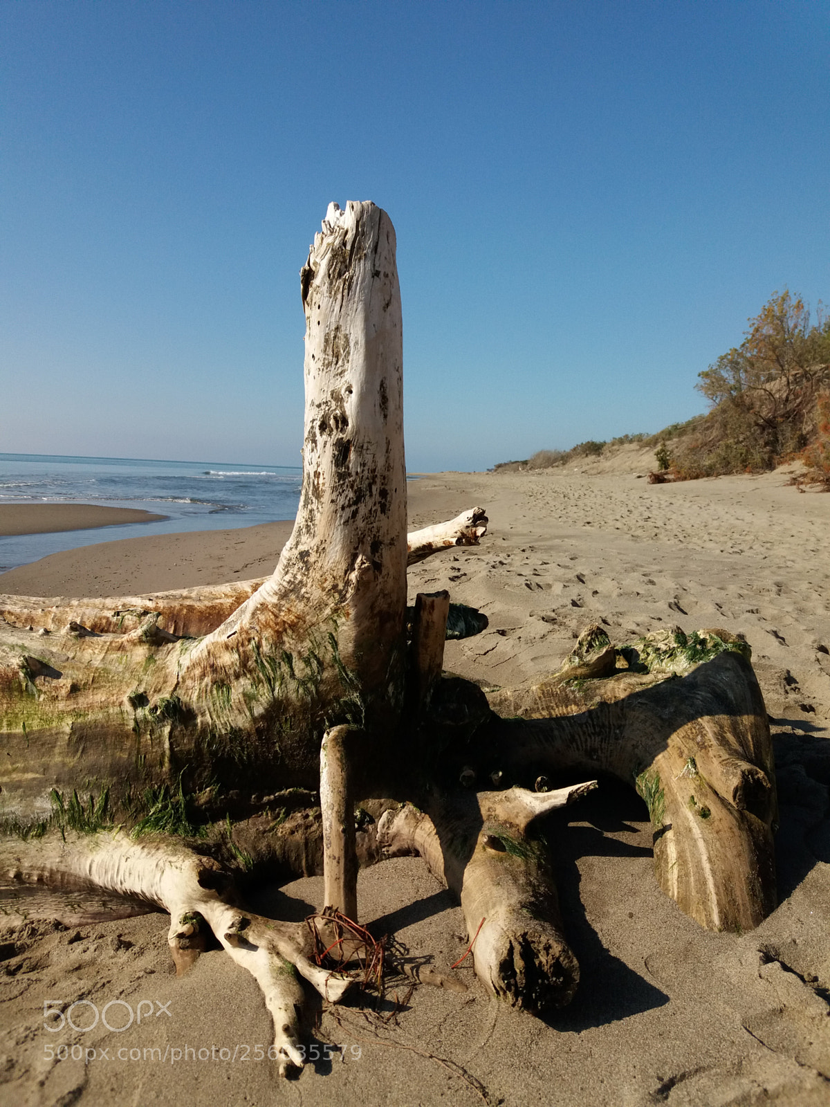 Samsung Galaxy J5(2016) sample photo. Mediterranean sea. alberese (tuscany) photography