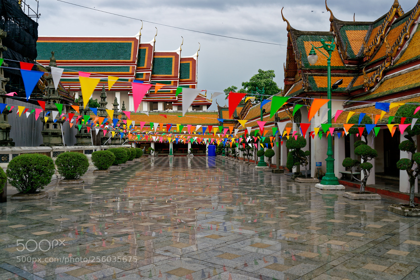 Sony a7R II sample photo. After the rain photography