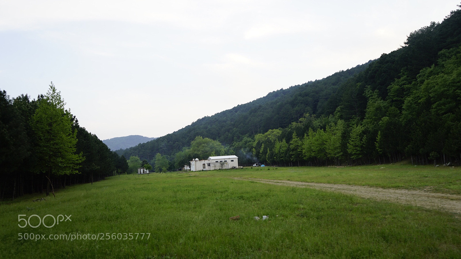 Sony a7 II sample photo. ? photography