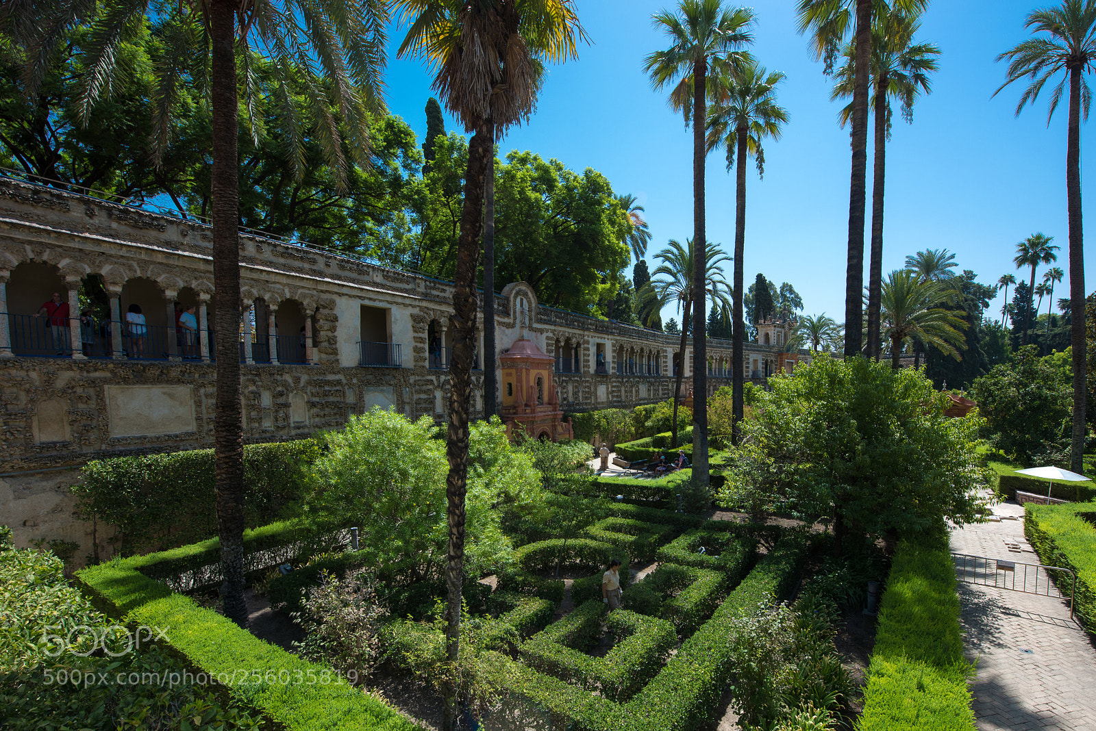 Nikon D810 sample photo. Real alcazar de sevila photography