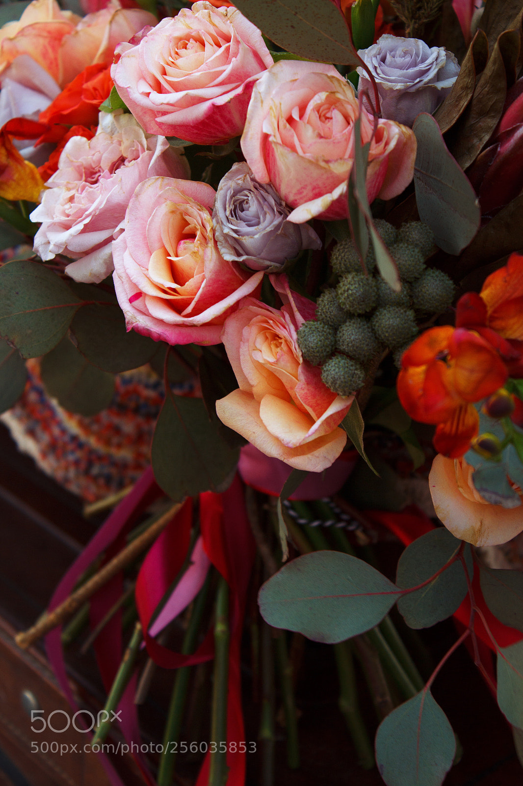 Canon EOS 60D sample photo. Make love ii photography