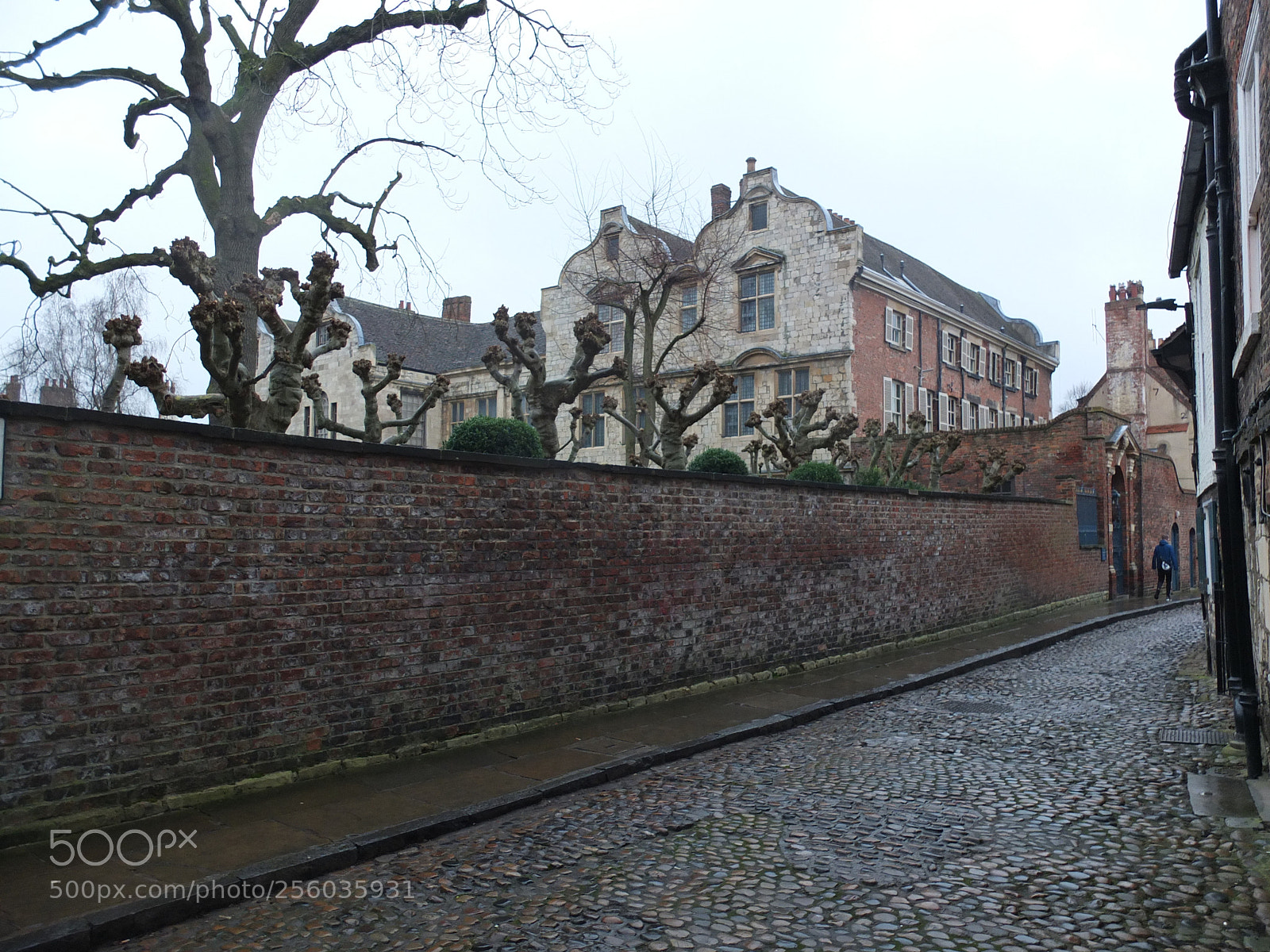 Fujifilm X10 sample photo. Trip to york, january 2017 photography