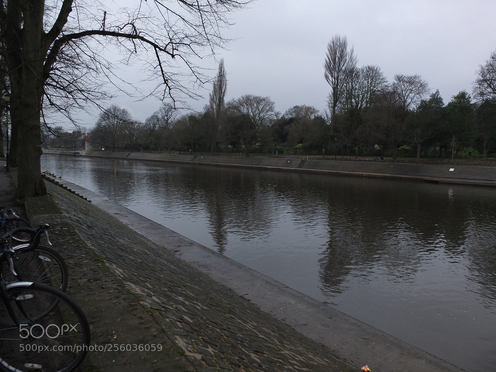 Fujifilm X10 sample photo. Trip to york, january 2017 photography