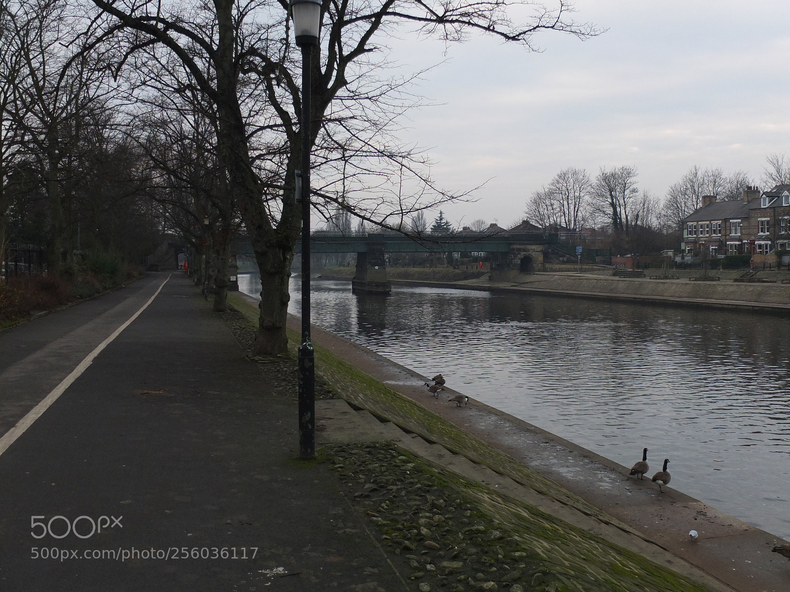 Fujifilm X10 sample photo. Trip to york, january 2017 photography