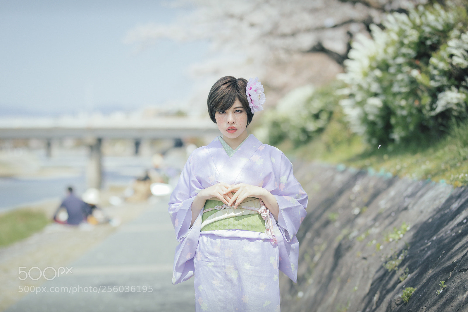 Canon EOS 5D Mark IV sample photo. At kyoto. photography