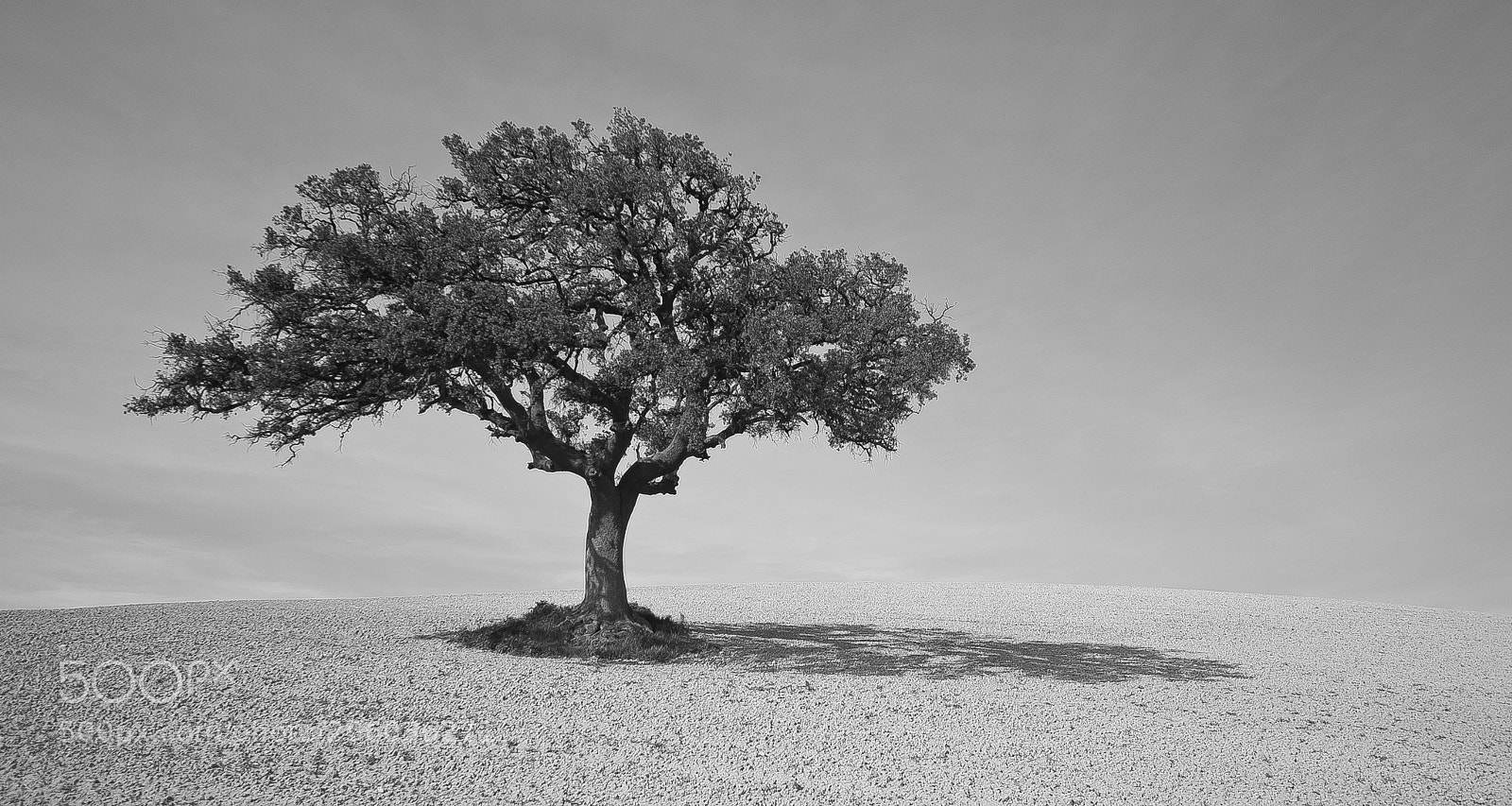 Nikon D3100 sample photo. Naturaleza solitaria photography