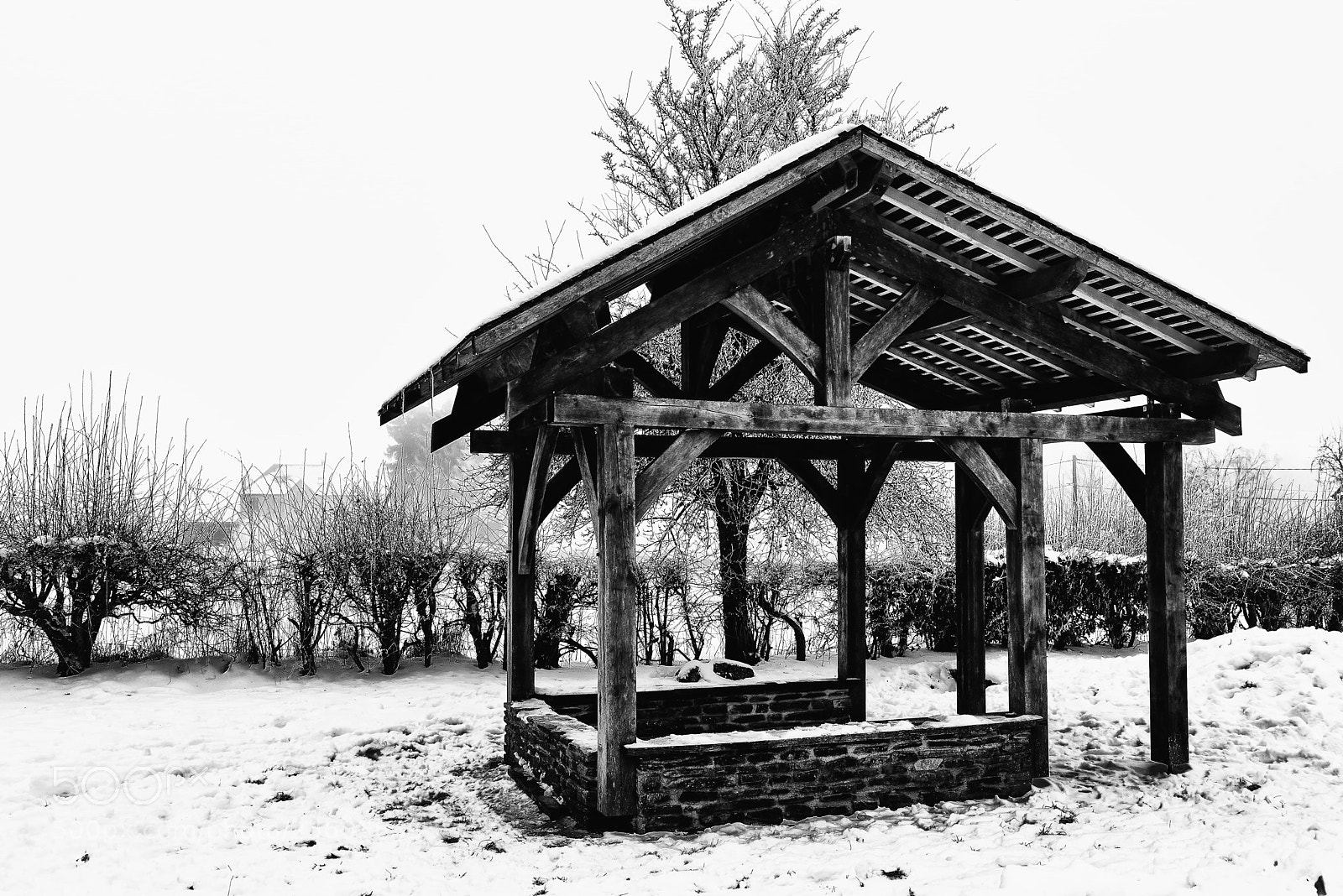 Nikon D800E sample photo. Square en bois des photography