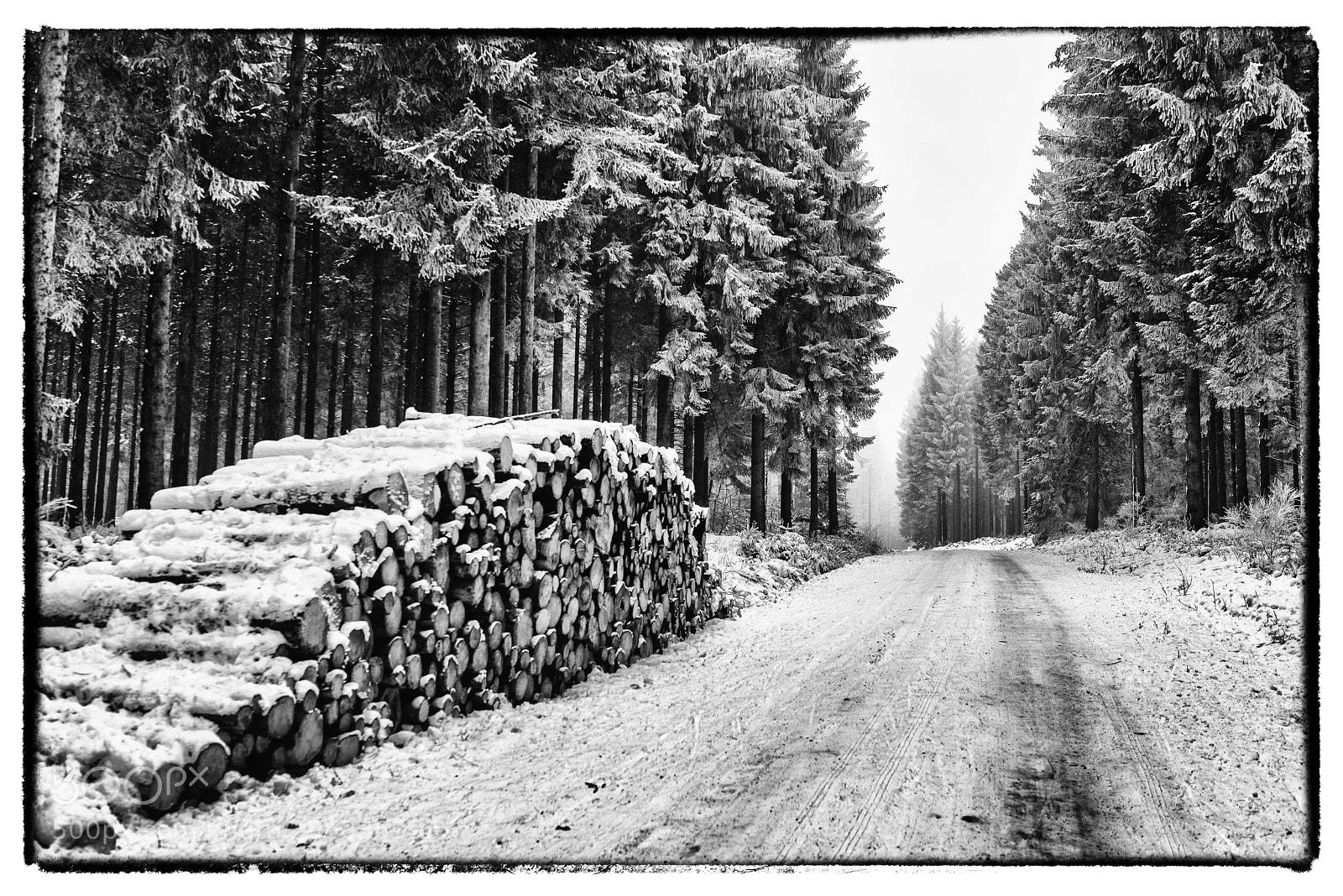 Nikon D800E sample photo. For t des hauts photography