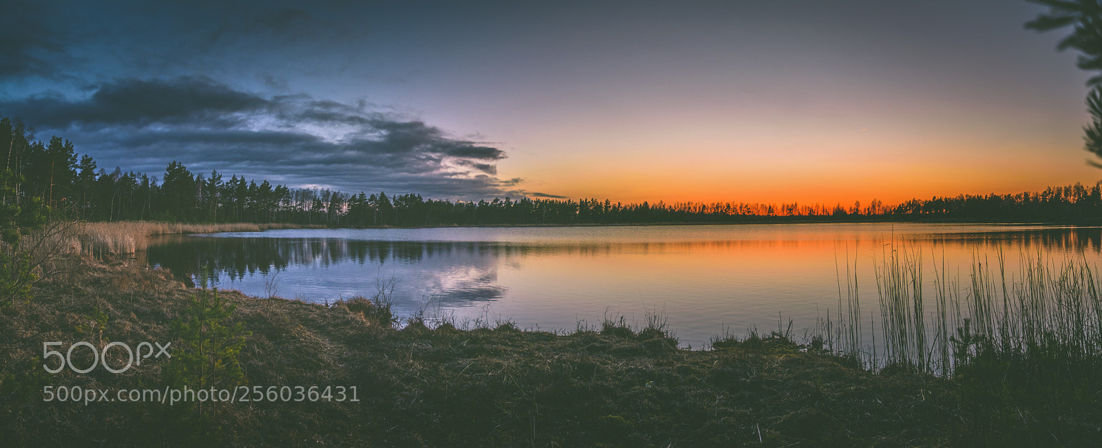 Nikon D5200 sample photo. Colorful sunset over the photography
