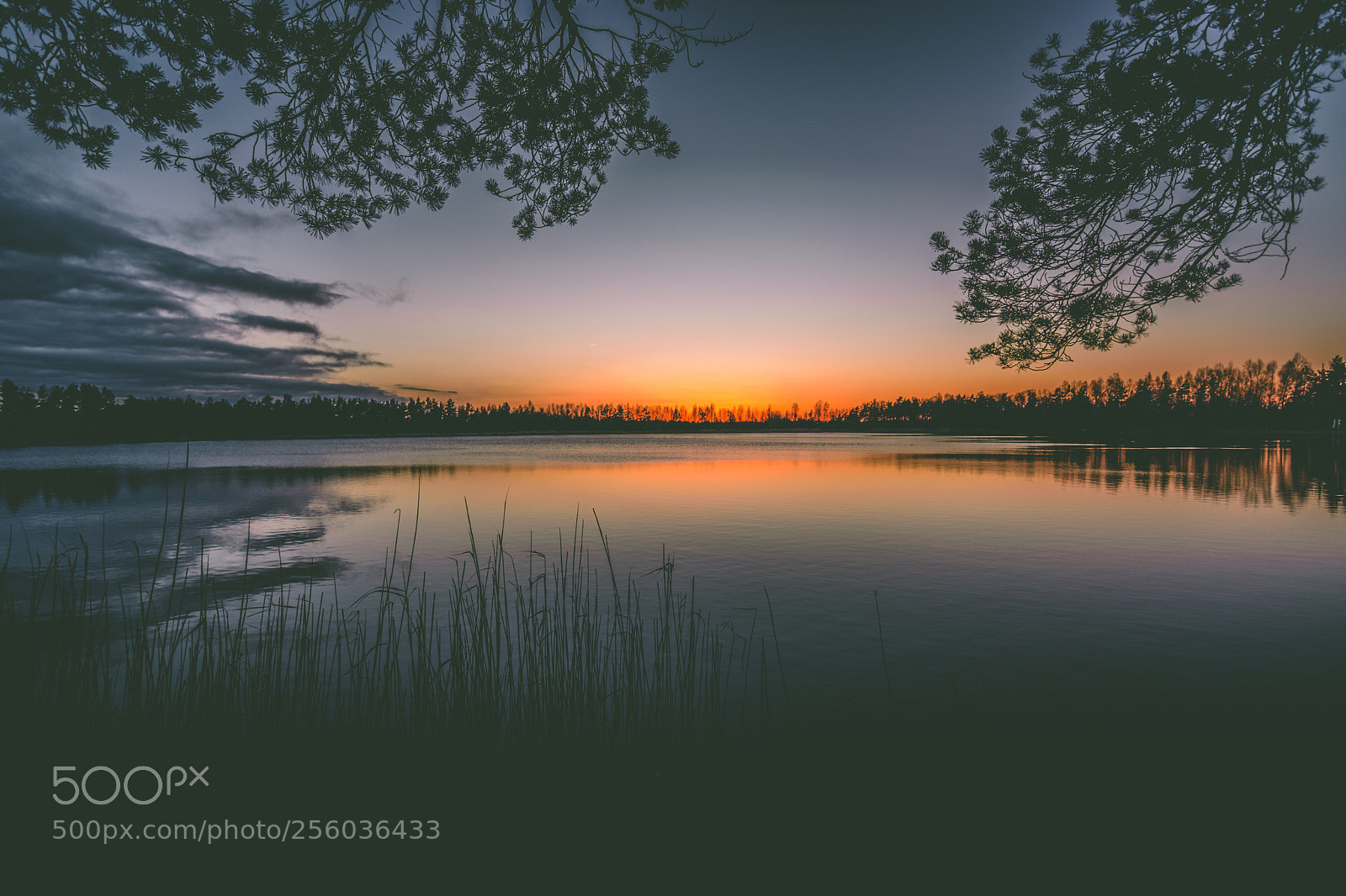 Nikon D5200 sample photo. Colorful sunset over the photography