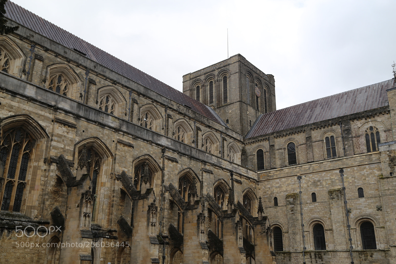 Canon EOS 6D + Canon EF 24-105mm F4L IS USM sample photo. Winchester, hants, march 2016 photography