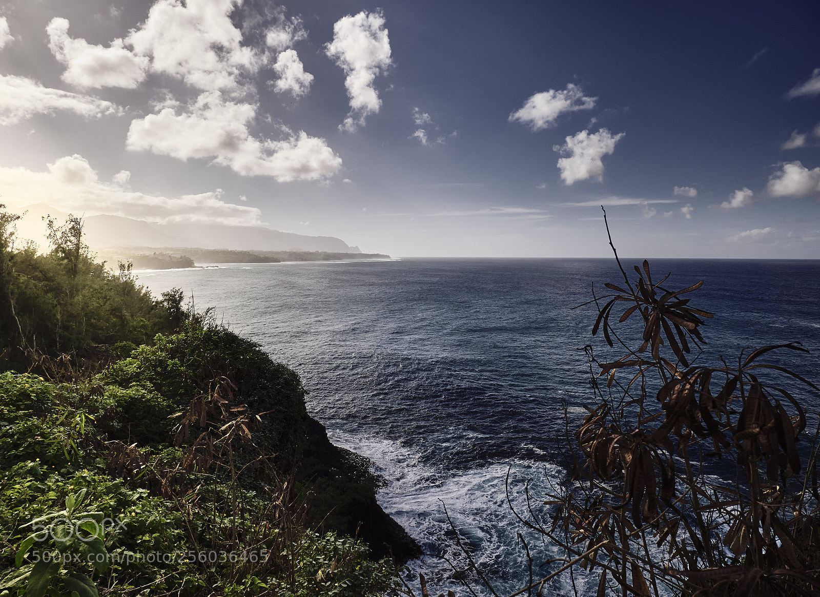 Panasonic Lumix DMC-G85 (Lumix DMC-G80) sample photo. Hawaiian coastline 1 photography