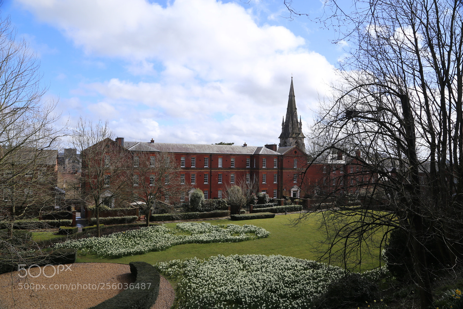 Canon EOS 6D + Canon EF 24-105mm F4L IS USM sample photo. Winchester, hants, march 2016 photography