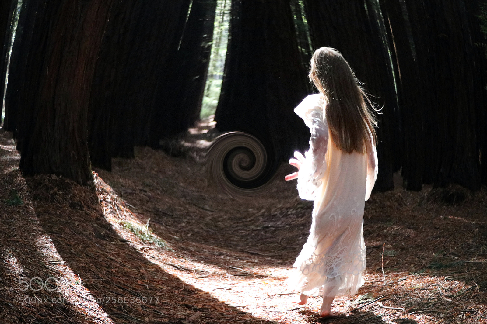 Canon EOS 80D sample photo. Forest gateway to another photography
