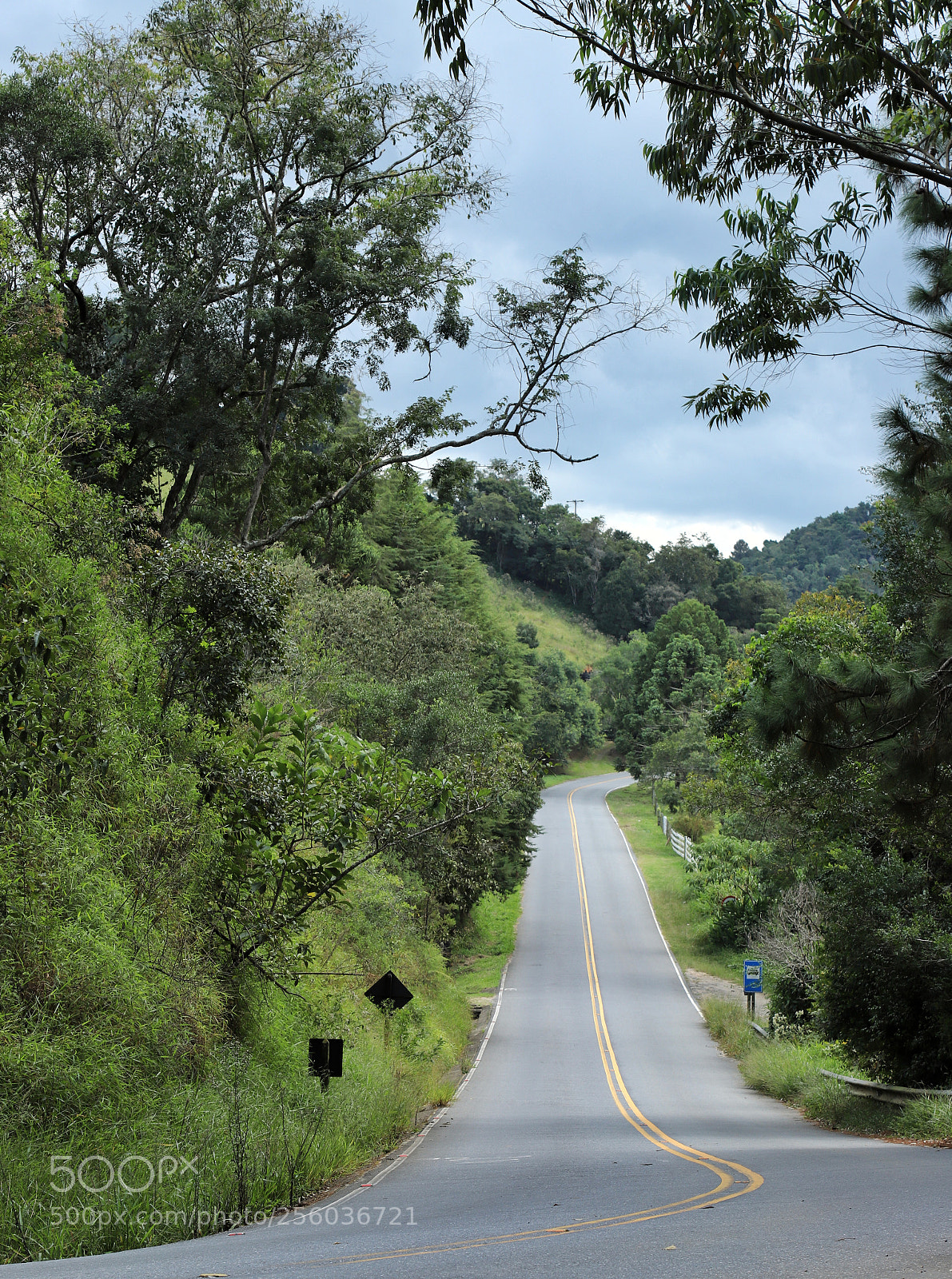 Canon EOS 6D Mark II sample photo. Untitled photography