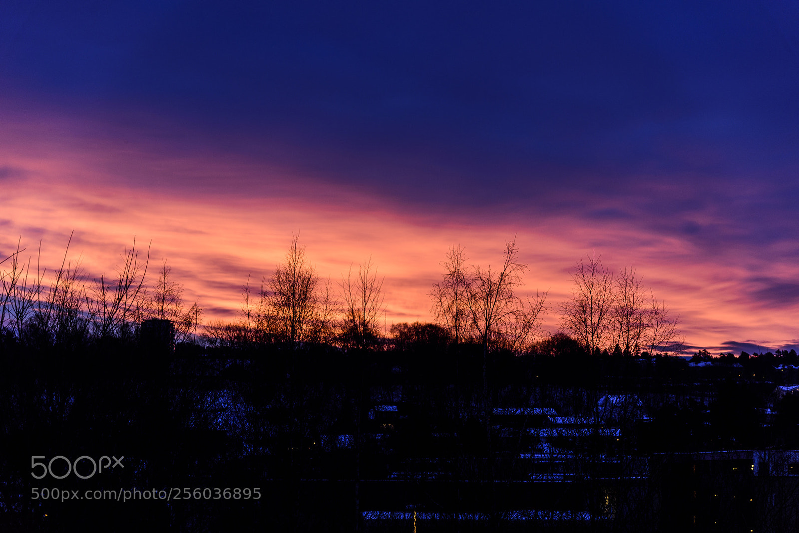 Nikon D750 sample photo. ? sunrise over oslo march 19. photography