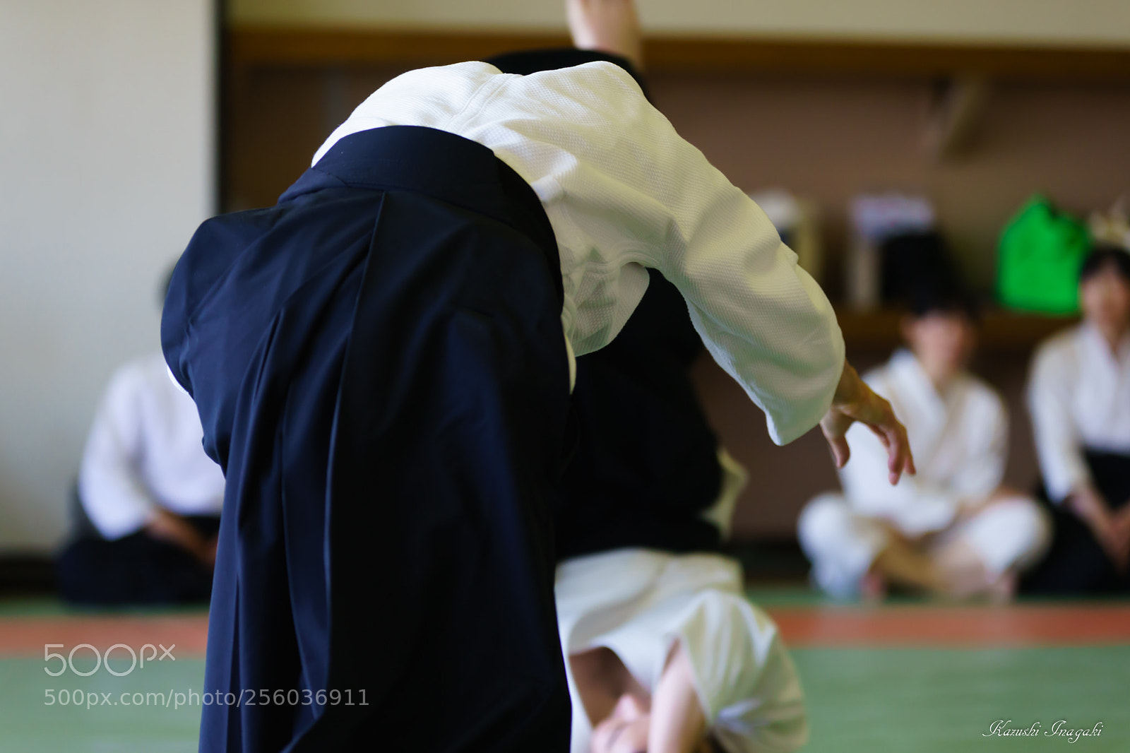 Sony SLT-A99V sample photo. Heart of aiki photography