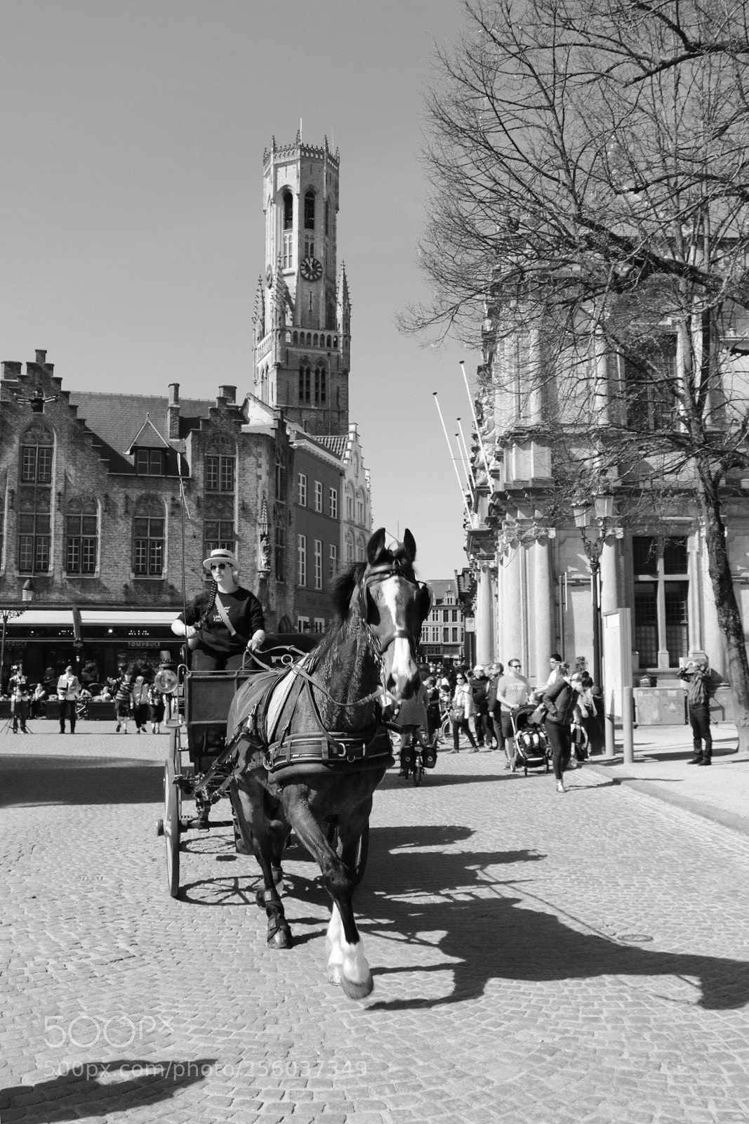 Canon EOS 750D (EOS Rebel T6i / EOS Kiss X8i) sample photo. Romantic bruges photography