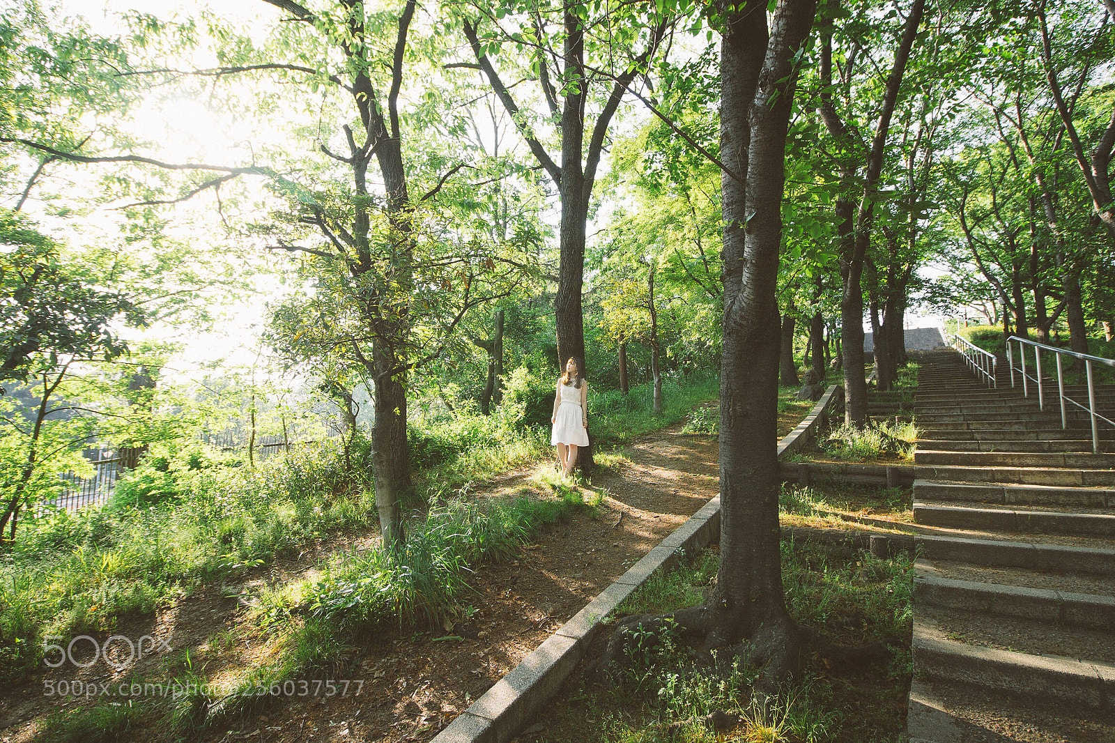 Sony a7 sample photo. Grow. photography