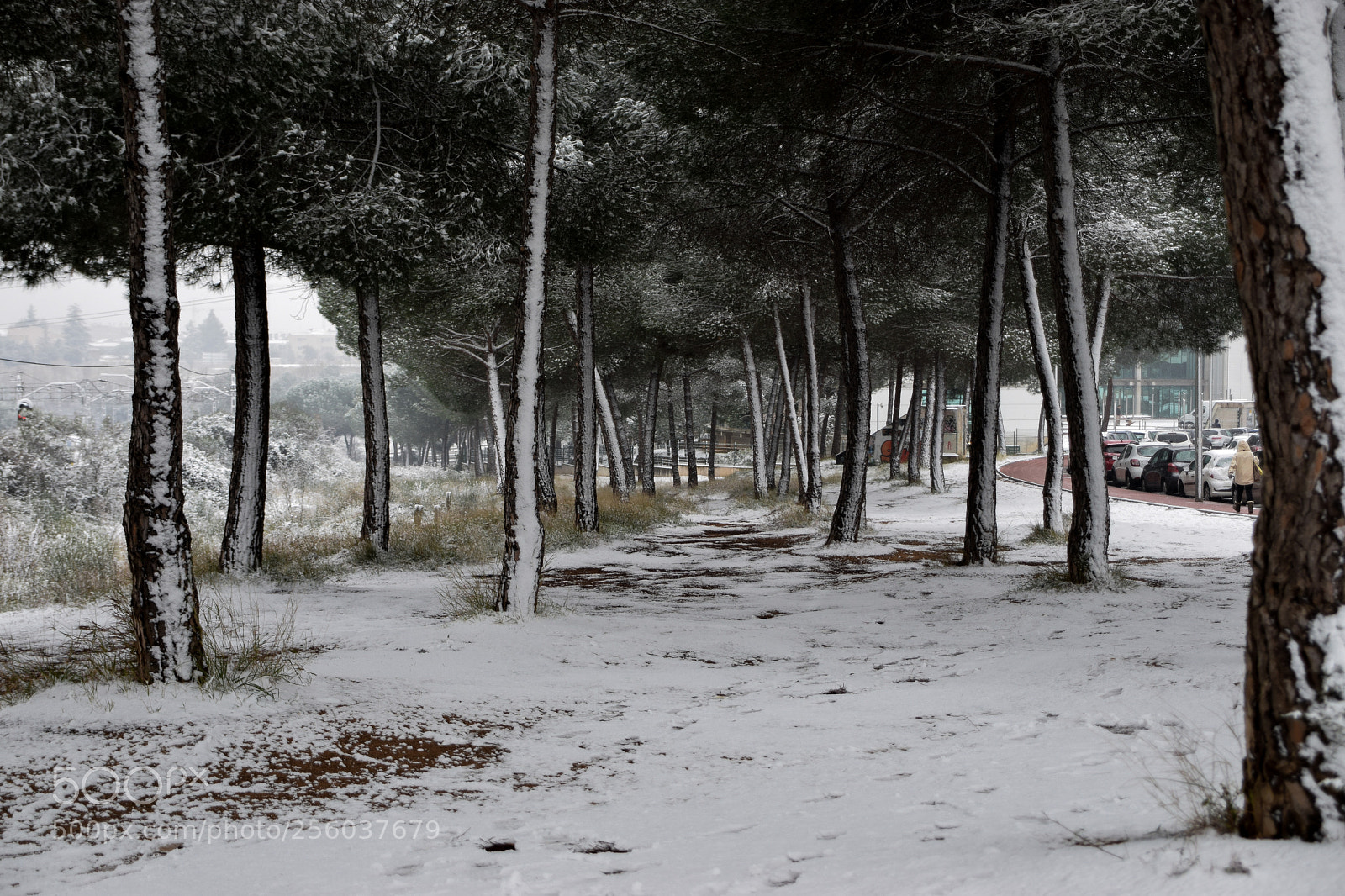 Nikon D3300 sample photo. Snow in barcelona photography
