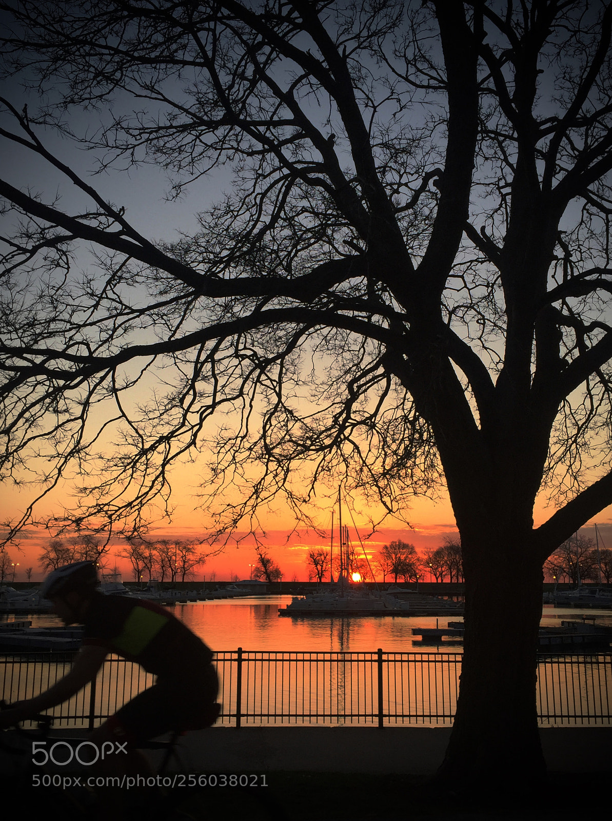 Apple iPhone 6 sample photo. Sunrise & biker photography