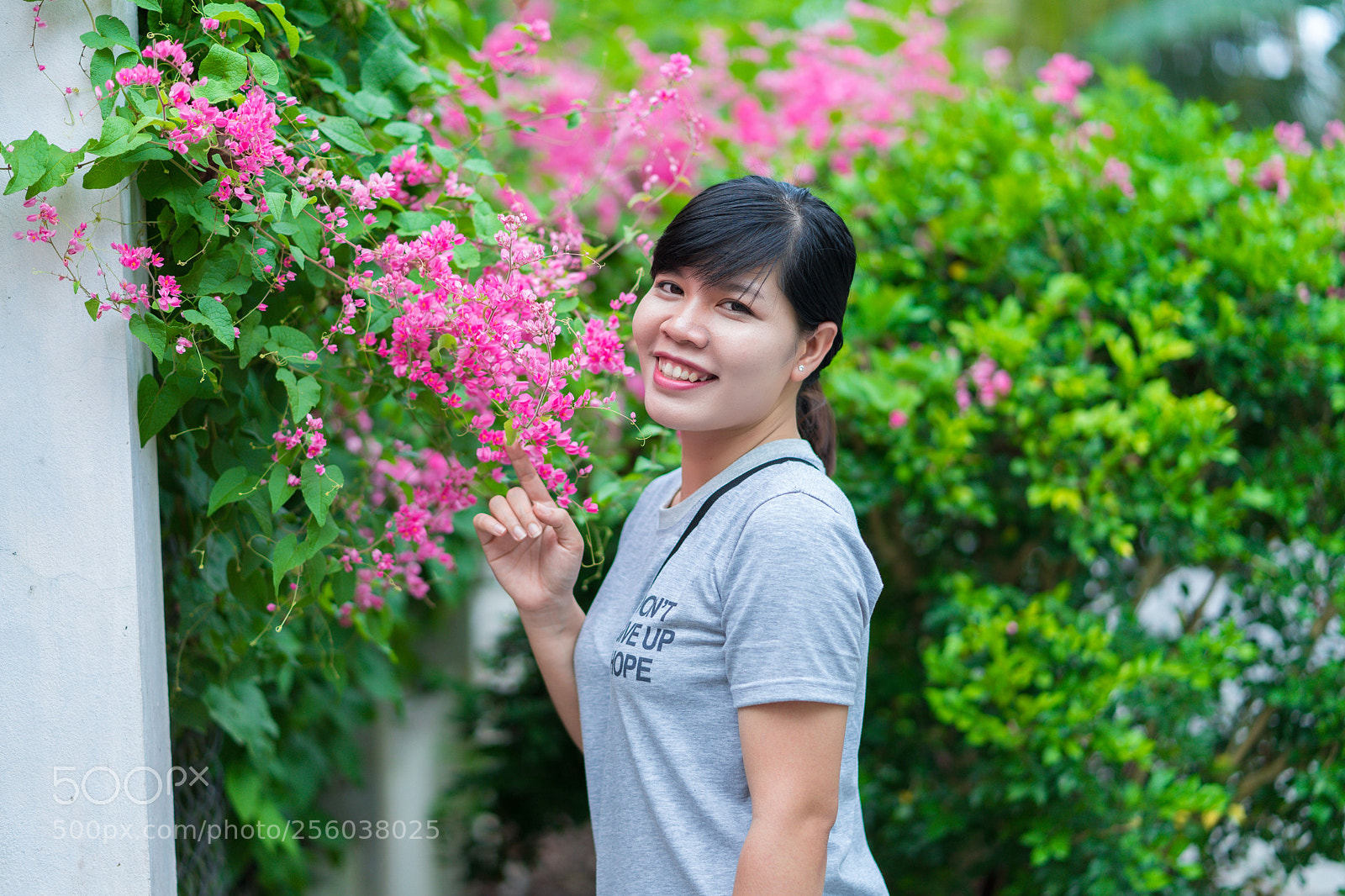 Sony a7 II sample photo. Dsc photography