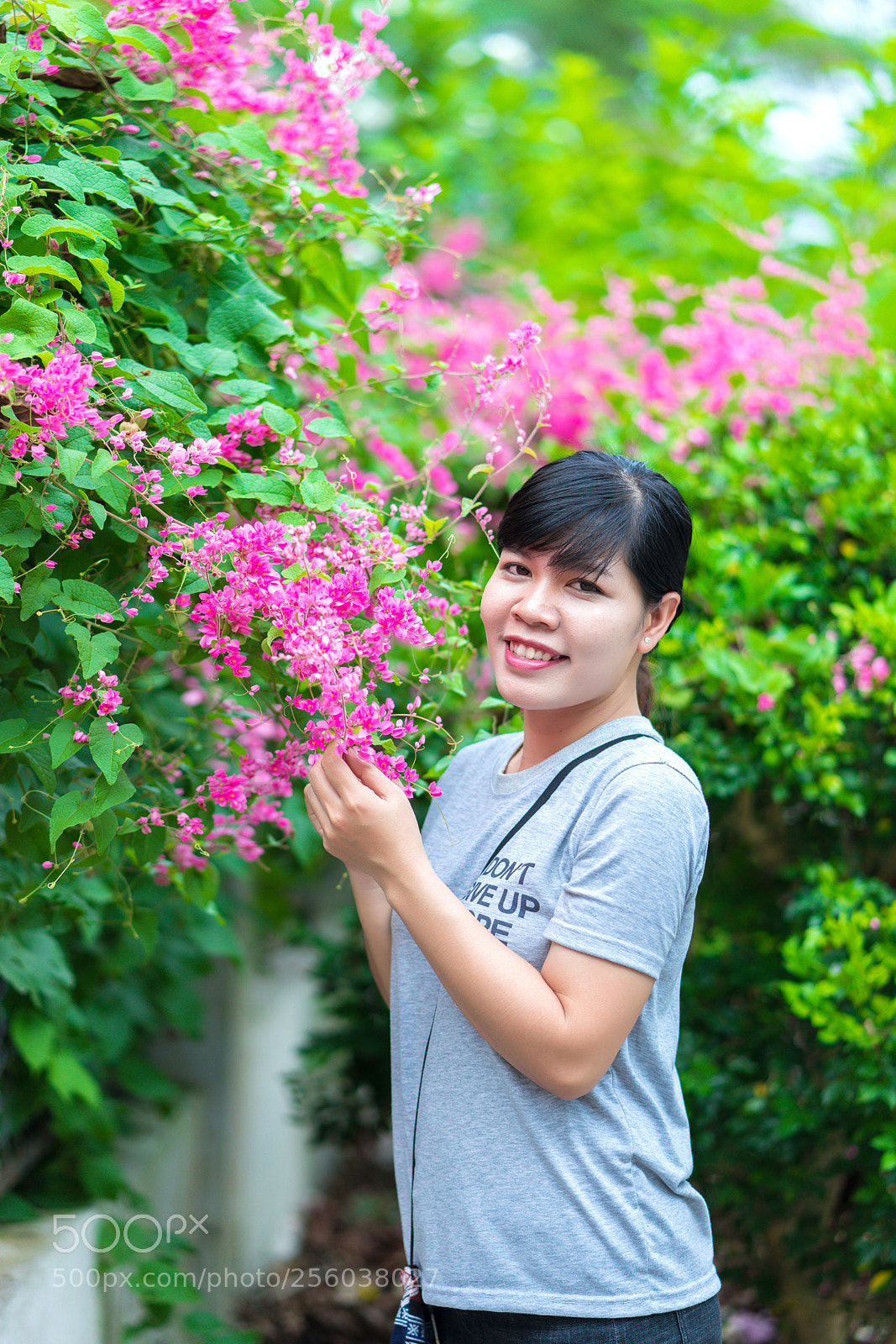 Sony a7 II sample photo. Dsc photography