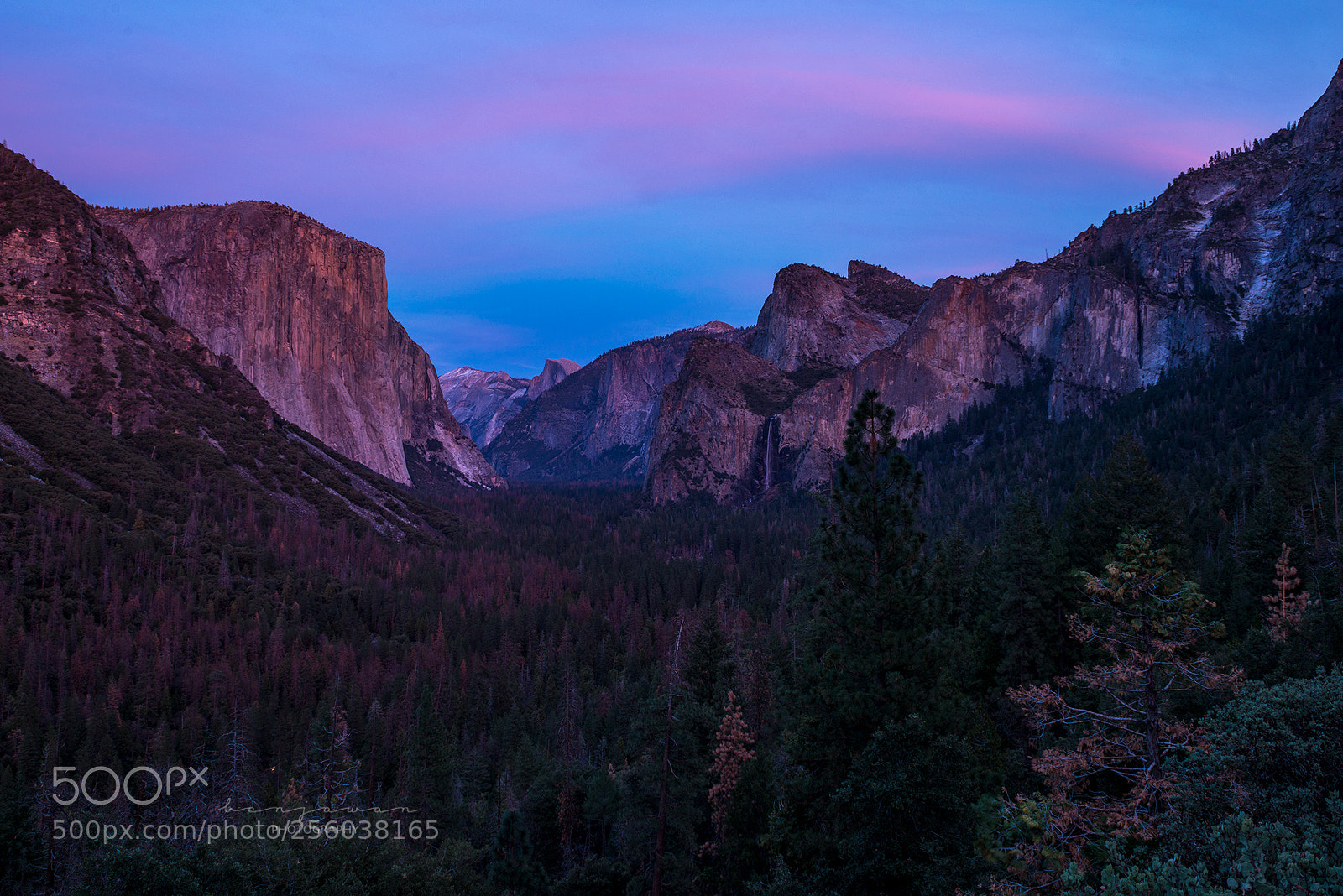 Nikon D800 sample photo. Tunnel view yosemite national photography