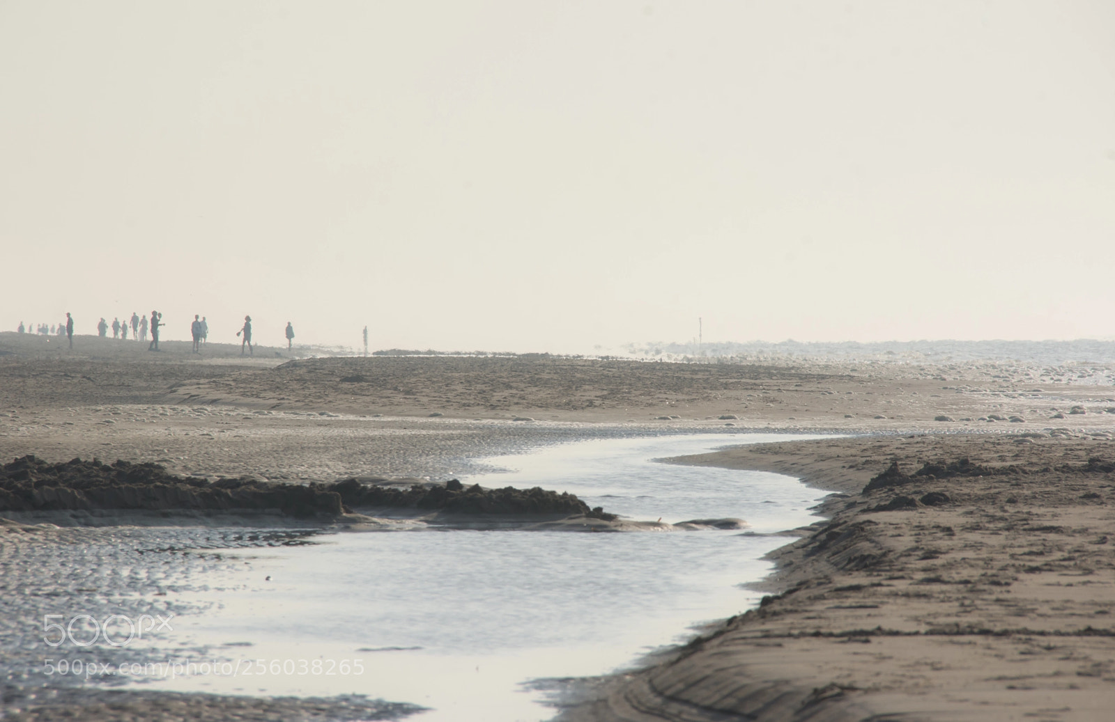 Nikon D5200 sample photo. Zombies on the beach. photography