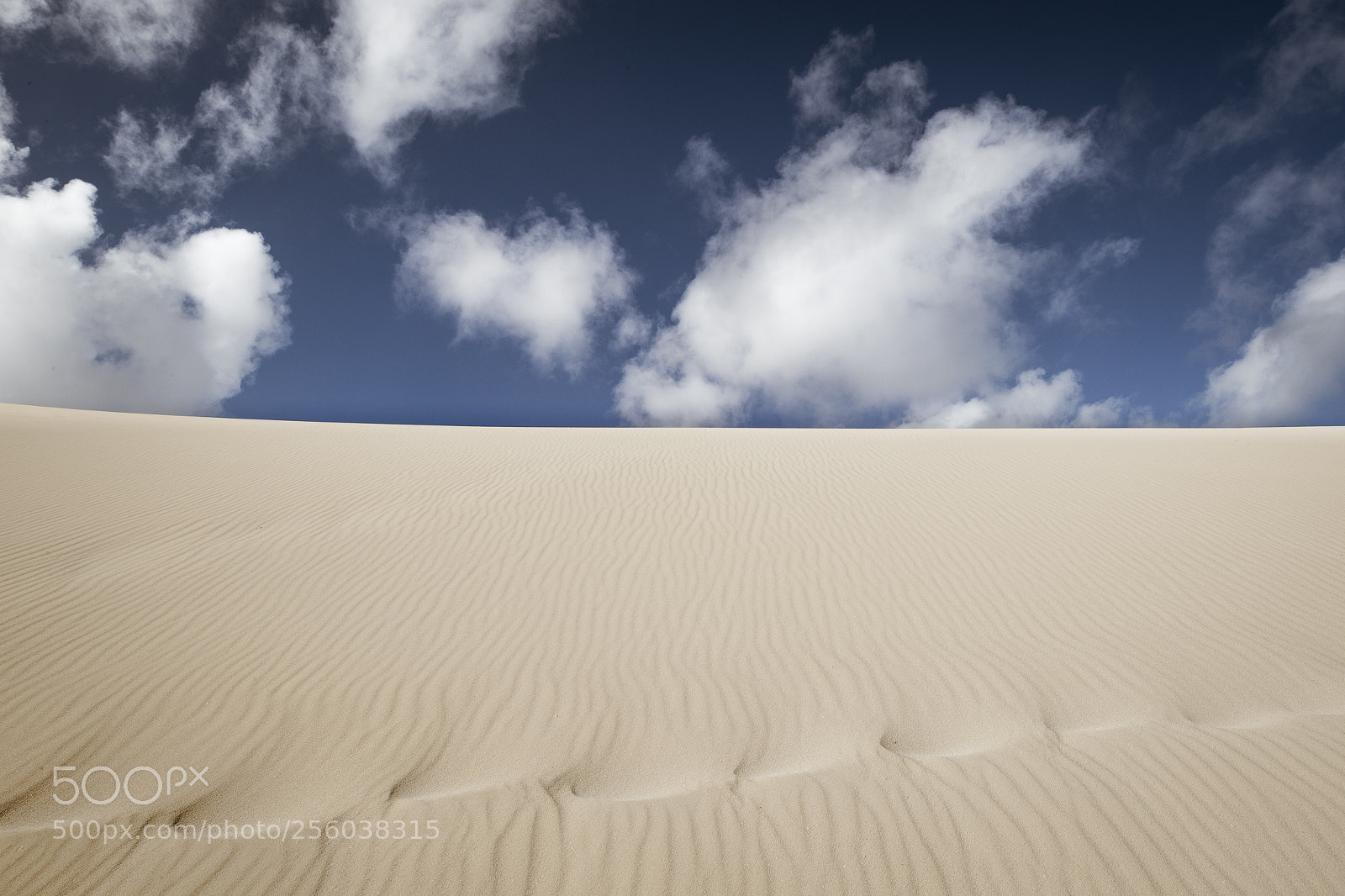 Canon EOS-1D X Mark II sample photo. Gradient photography