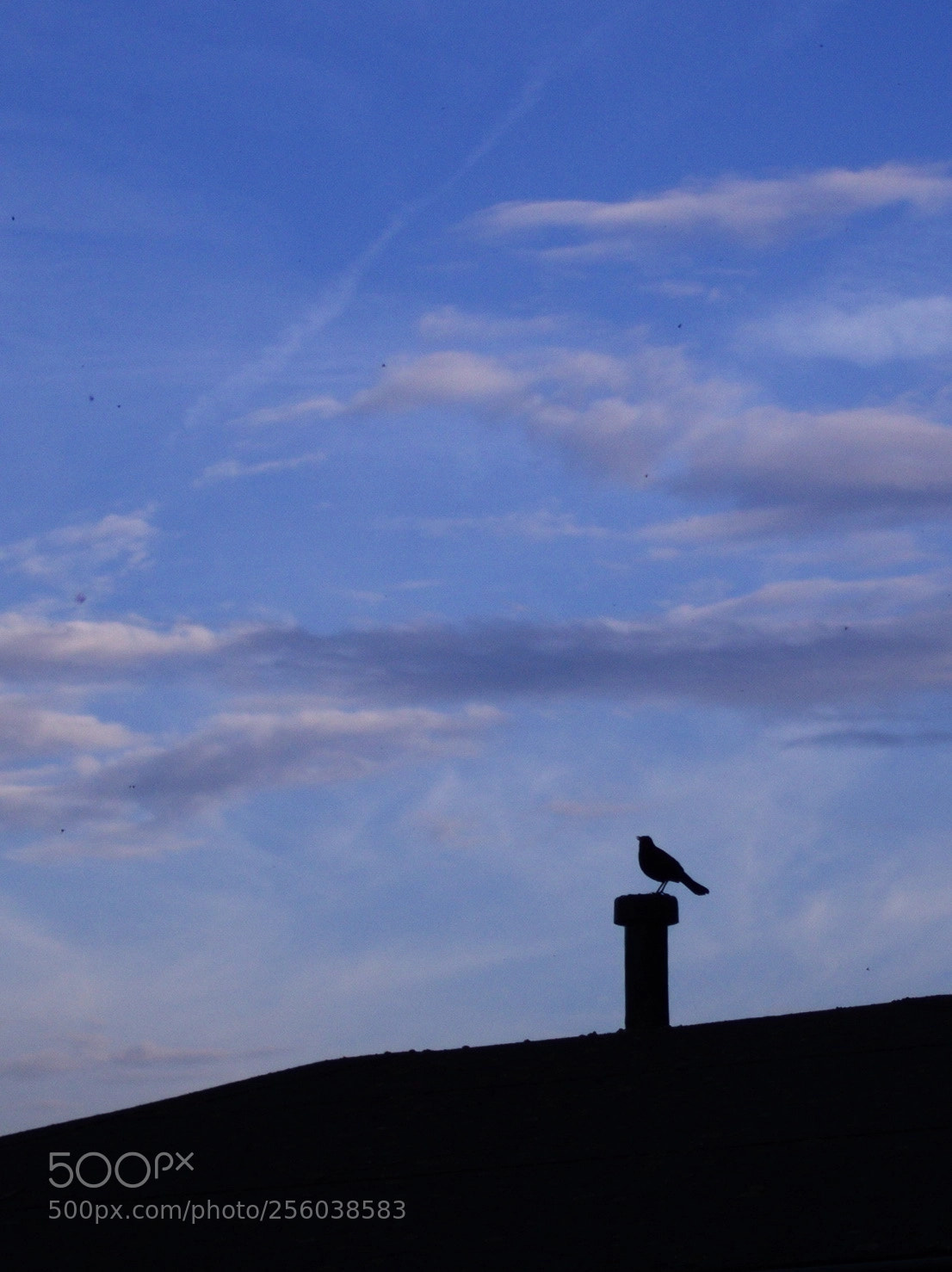 Olympus PEN E-PL5 sample photo. After a hard day's photography