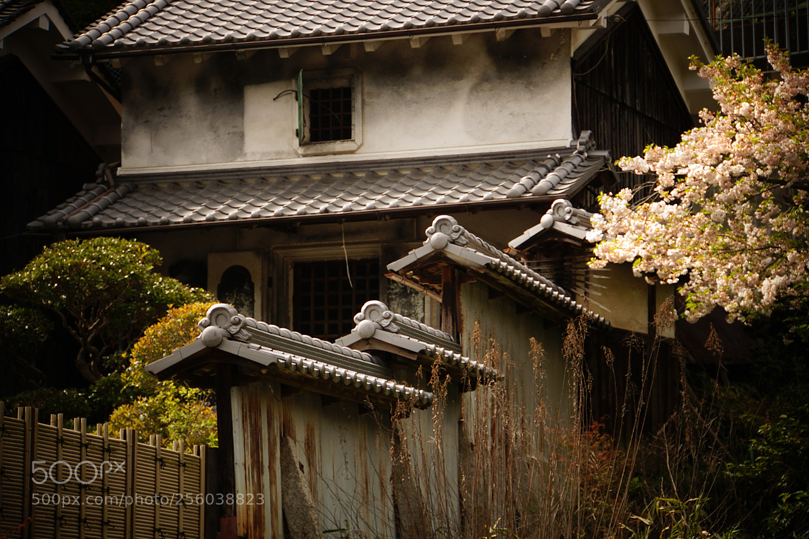 Sony a6000 sample photo. In nara photography