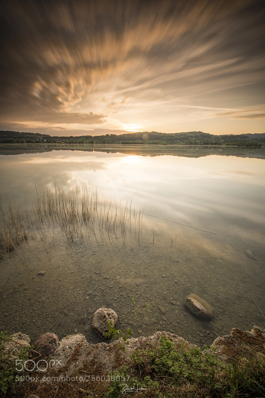 Nikon D850 sample photo. Pfäffikersee photography