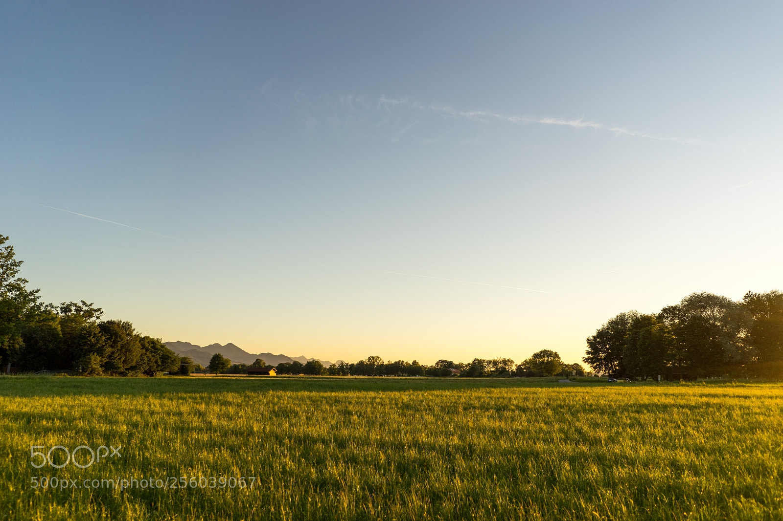 Sony a7 II sample photo. Lachsgang sunset stroll photography