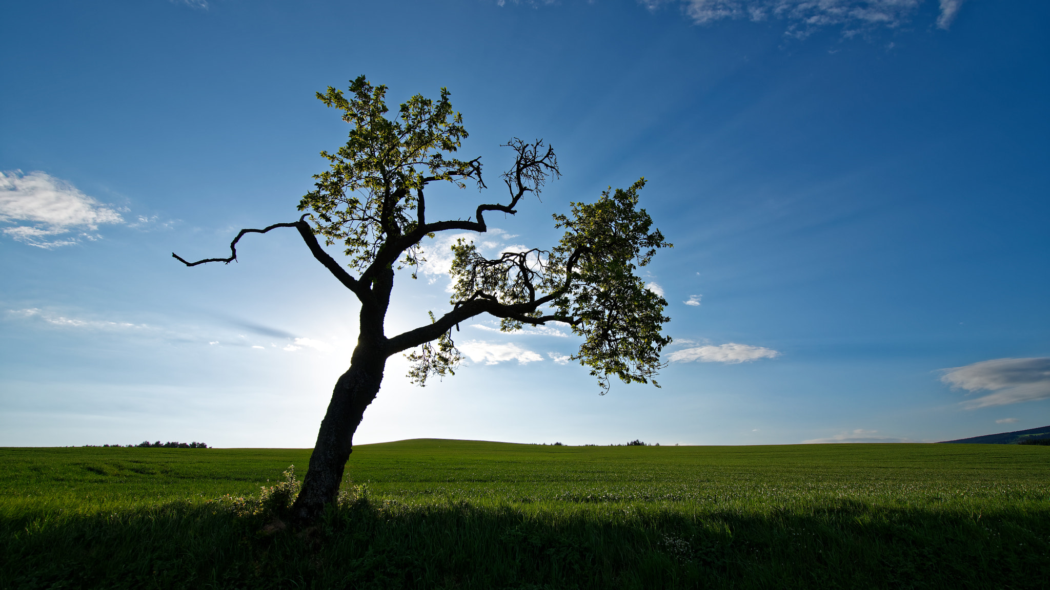 Nikon D5500 sample photo. Strom photography