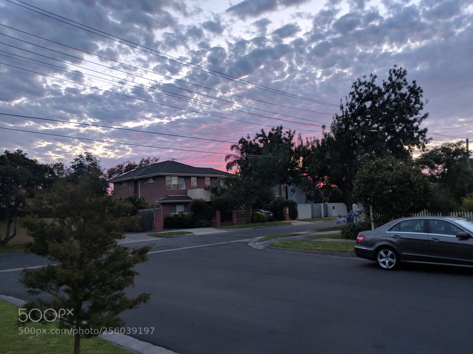 Google Pixel 2 sample photo. Untitled photography