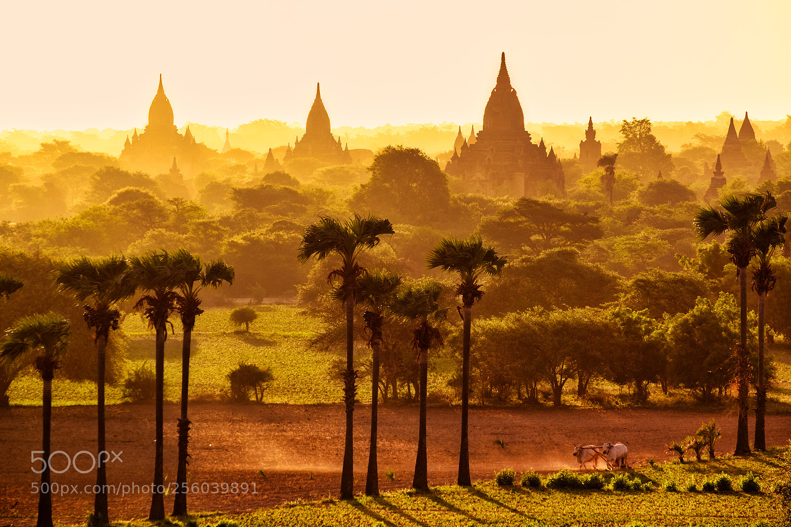 Fujifilm X-T1 sample photo. Sunrise in bagan photography