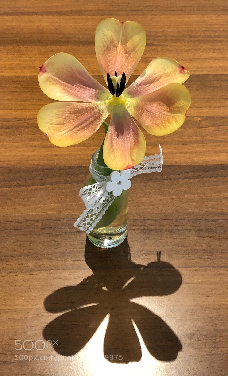 Apple iPhone 8 sample photo. Caffè del mare  photography
