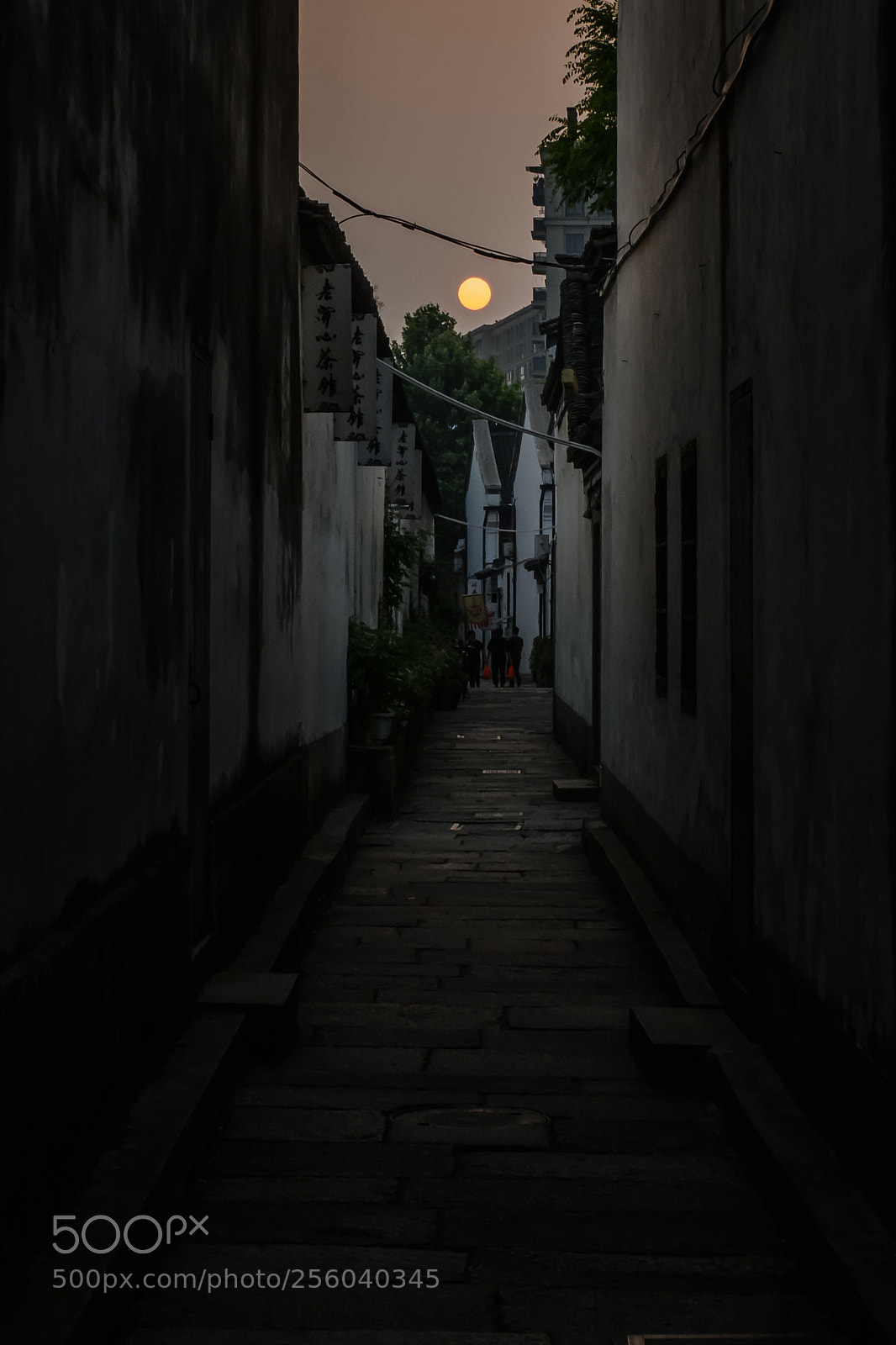 Nikon D850 sample photo. Dusk in the alley photography