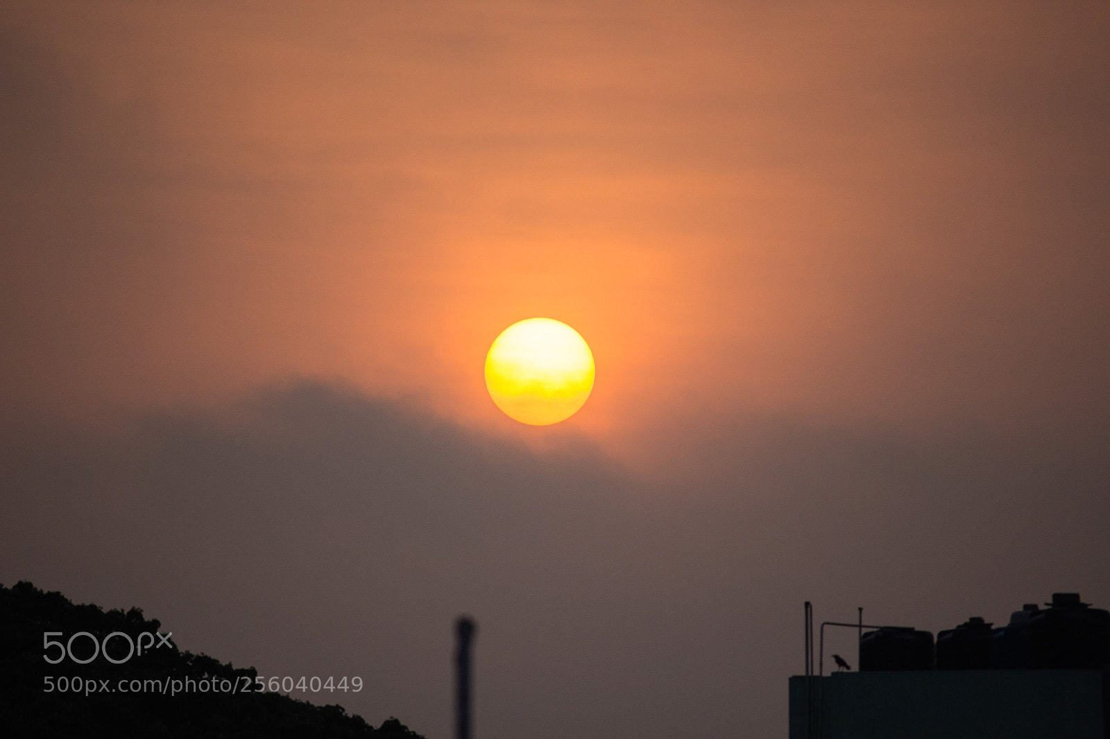 Canon EOS 600D (Rebel EOS T3i / EOS Kiss X5) sample photo. Sun rise photography