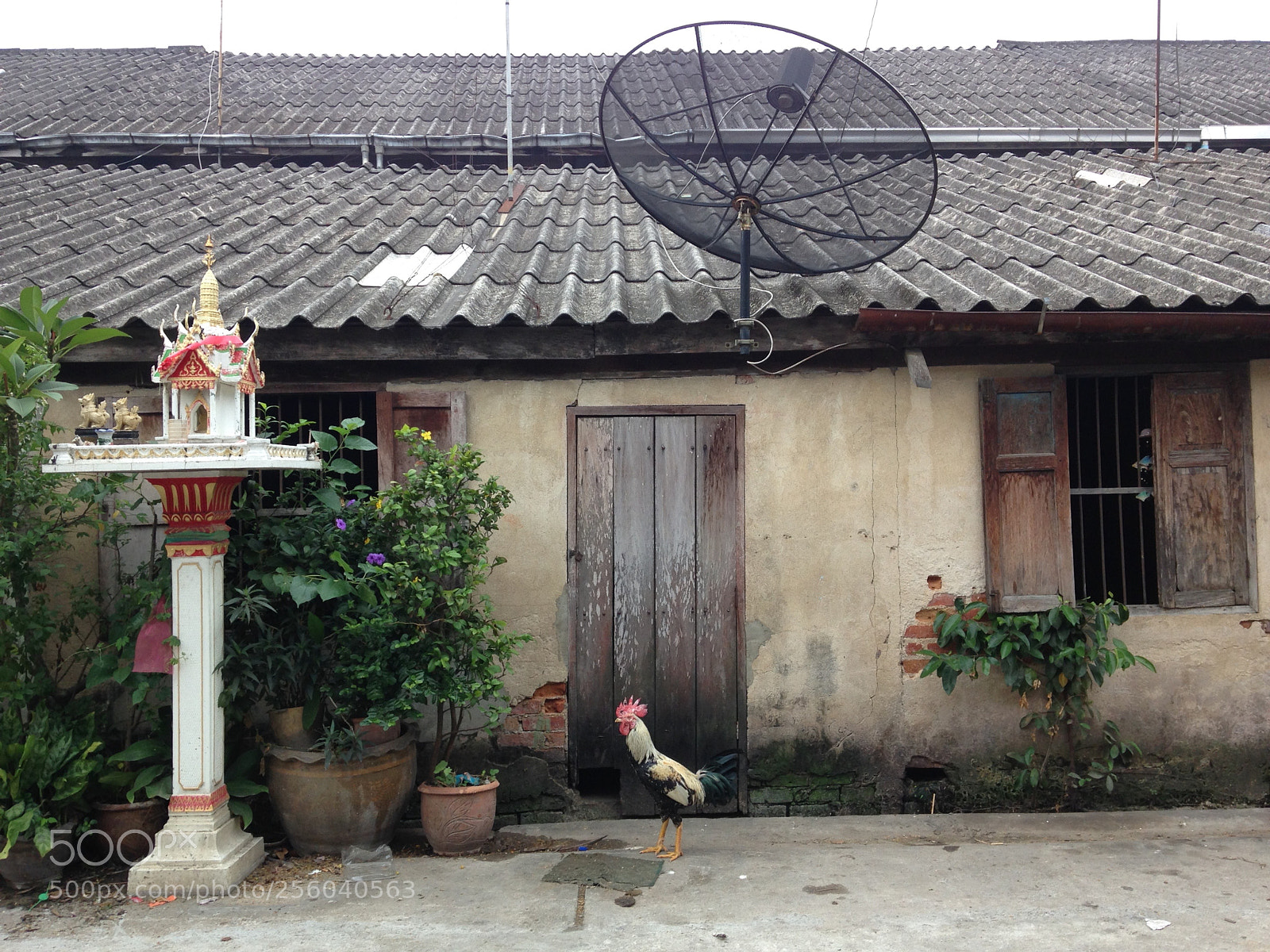 Apple iPhone 5c sample photo. Img photography