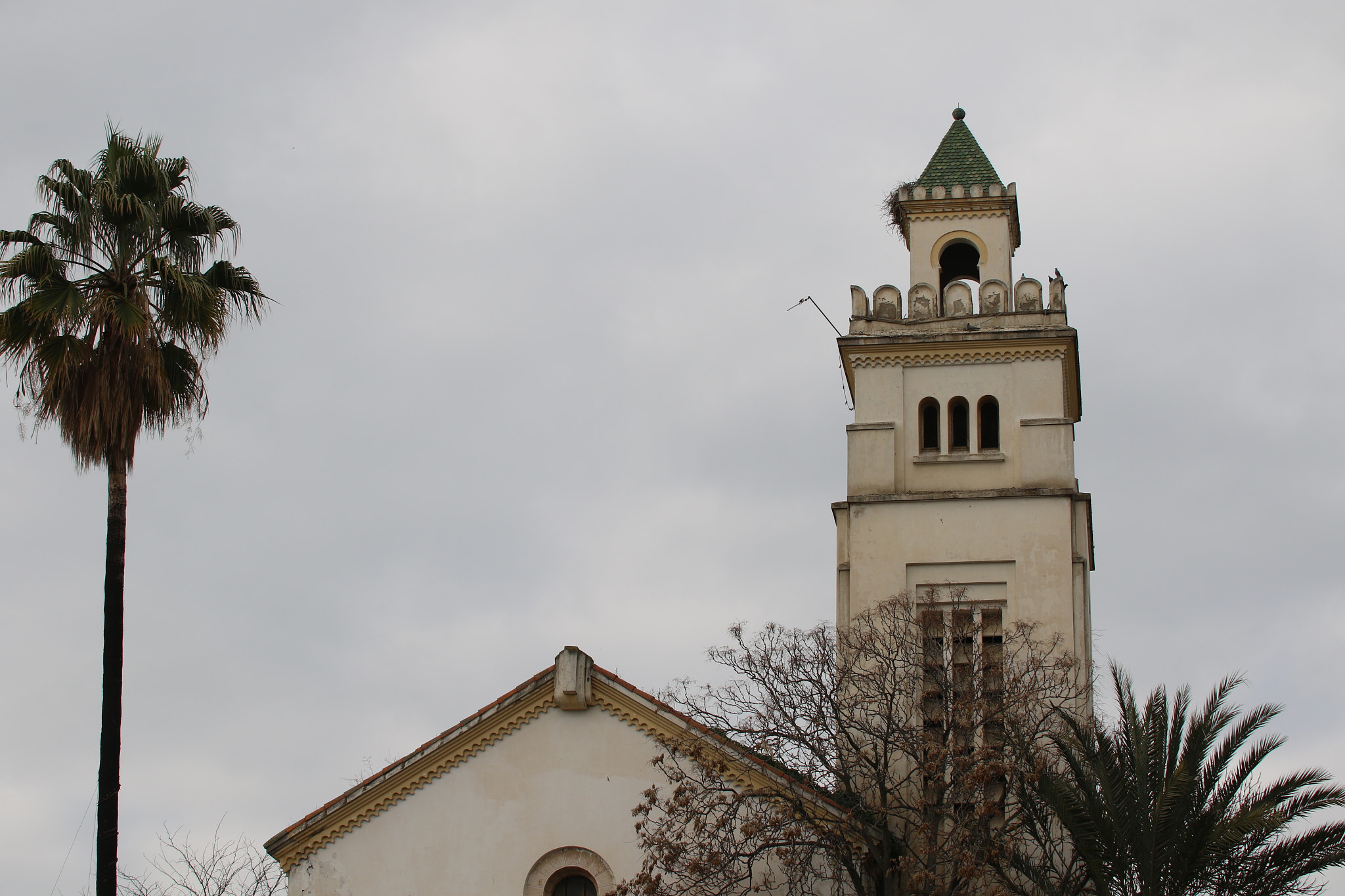 Sigma 50-100mm F1.8 DC HSM Art sample photo. Beja now photography