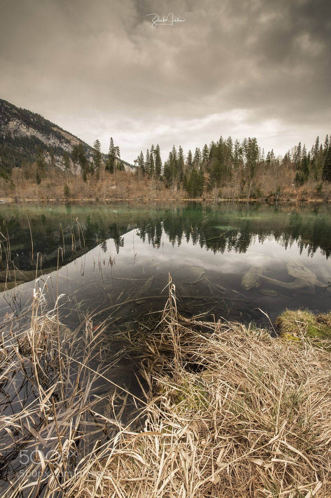 Nikon D850 sample photo. Crestasee photography